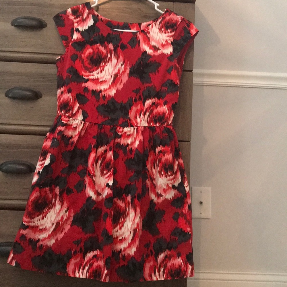 Red Rose Dress